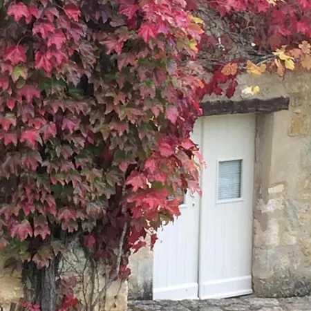 Vialard Salignac Eyvigues