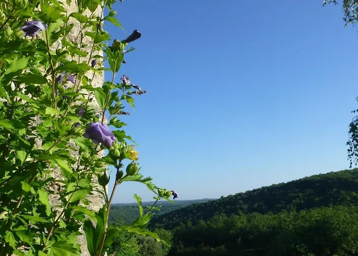 بيت للعطل Vialard *