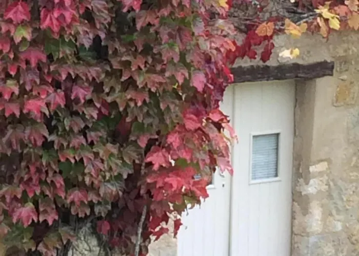 Vialard Salignac Eyvigues